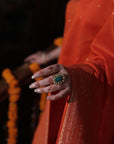 THE NARANGI NIAZ SAREE