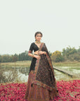The Ulfat Lehenga
