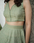 IVY
