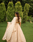 THE PARISA LEHENGA