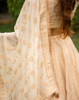 THE PARISA LEHENGA
