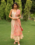 THE GULSAR ANARKALI
