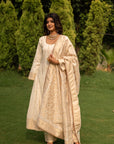 THE WARDA ANARKALI