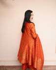 NAZAR-E-GULZAR ANARKALI