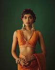 THE SARSON NIAZ SAREE