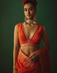 THE NARANGI NIAZ SAREE
