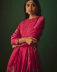 THE GULAABI REZA ANARKALI