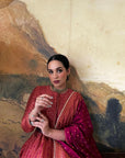 The Shezan Anarkali