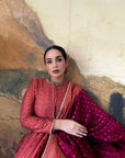 The Shezan Anarkali