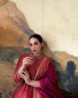 The Shezan Anarkali