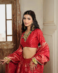 THE LAAL HIRAYA LEHENGA