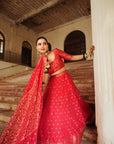 THE LAAL MINARA LEHENGA