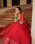 THE LAAL MINARA LEHENGA