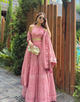 ARPITA GUPTA IN PRIMROSE